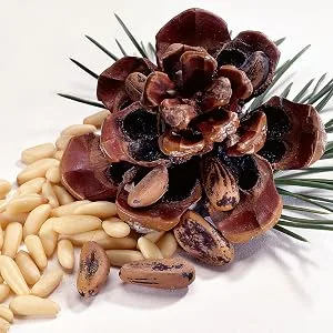 Fisher Pine Nuts, 2 Ounces, Unsalted, Naturally Gluten Free, No Preservatives, Non-GMO, Vegan Friendly Pine Nuts 2 Ounce (Pack of 1) - pine nuts