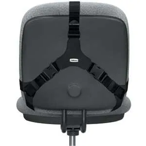 Fellowes Professional Series Back Support, Black (8037601) - product information 4