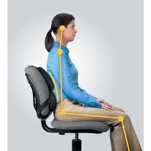 Fellowes Professional Series Back Support, Black (8037601) - product information 5