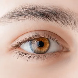 Eyelash Growth Serum and Eyebrow Enhancer Irritation Free Formula Guaranteed Results in 3-4 Weeks for Longer, Thicker, and Fuller Eyelashes - va egs a+ 2-1