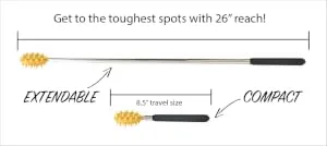 Extendable Cactus Back Scratcher, ABS Plastic, Relieves Itching on Back, Neck, Head, Beard, and Body, 16 Spikes per Side, 8.5 Inches Compact to 24.5 Inches Extended (Blue) Light Blue - product information 2