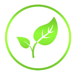 Evlution Nutrition Stacked Greens Raw Superfood, Vegan, Gluten-Free, 30 Servings (Orchard Apple V2) - organic