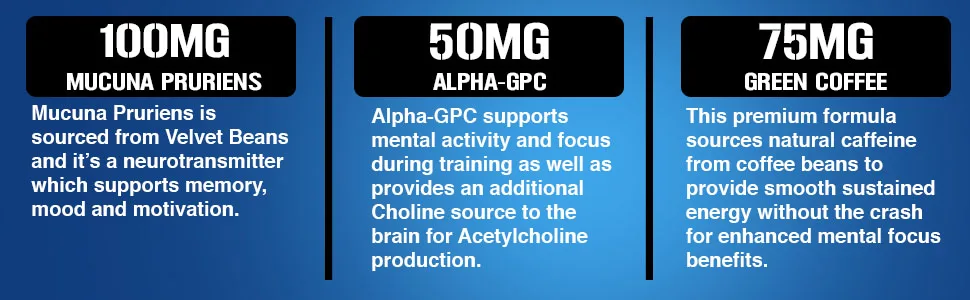 Evlution Nutrition Focus Mode, Herbal Brain Function and Cognitive Support Supplement, Focus, Energy, Clarity, Memory, Mind Enhancer and Mood Booster Nootropic (30 Servings) 30 Count (Pack of 1) - mucuna pruriens, alpha-gpc, green coffee