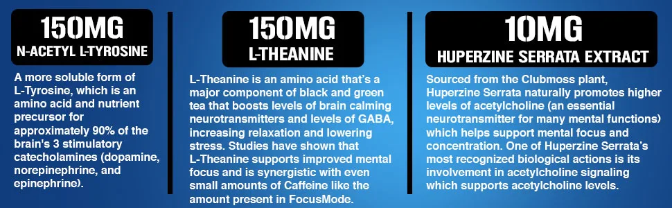 Evlution Nutrition Focus Mode, Herbal Brain Function and Cognitive Support Supplement, Focus, Energy, Clarity, Memory, Mind Enhancer and Mood Booster Nootropic (30 Servings) 30 Count (Pack of 1) - n-acetyl l-tyrosine, l-theanine, huperzine serrata extract