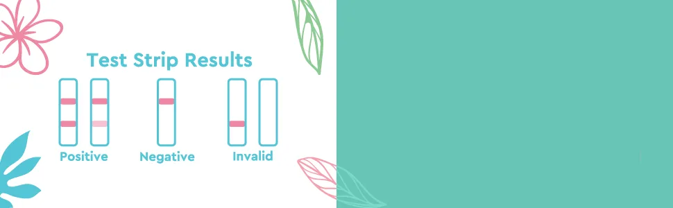 eve Pregnancy Test Strips, Fast & 99%+ Accuracy Result, 10 Count 10 Count (Pack of 1) - Pregnancy Test Strip Instruction Step 3