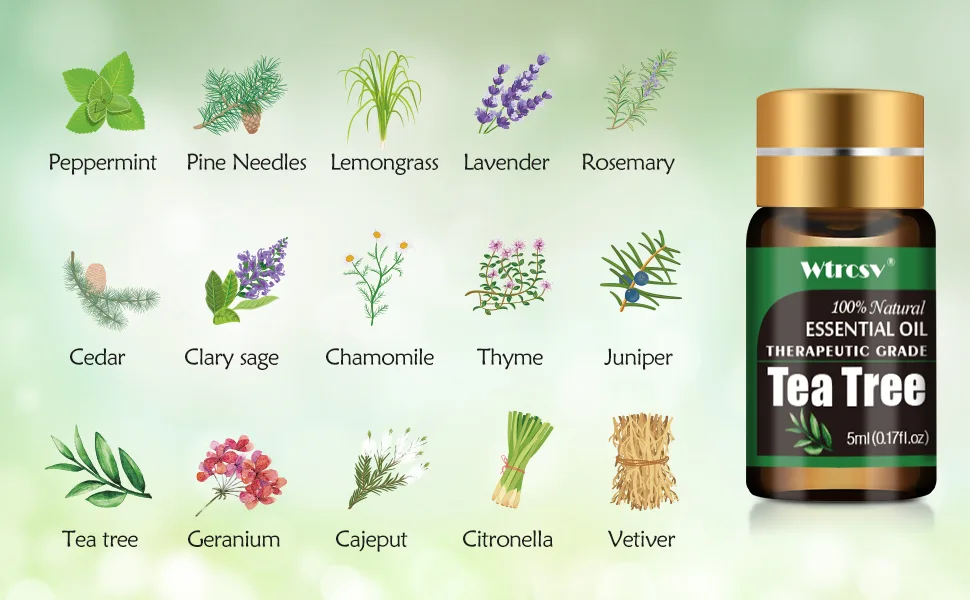Essential Oils Set -Essential Oils - 100% Natural Essential Oils-Perfect for Diffuser, Humidifier,Aromatherapy, Massage,Skin & Hair Care,30x5 ml(0.17fl.oz) - Essential Oils