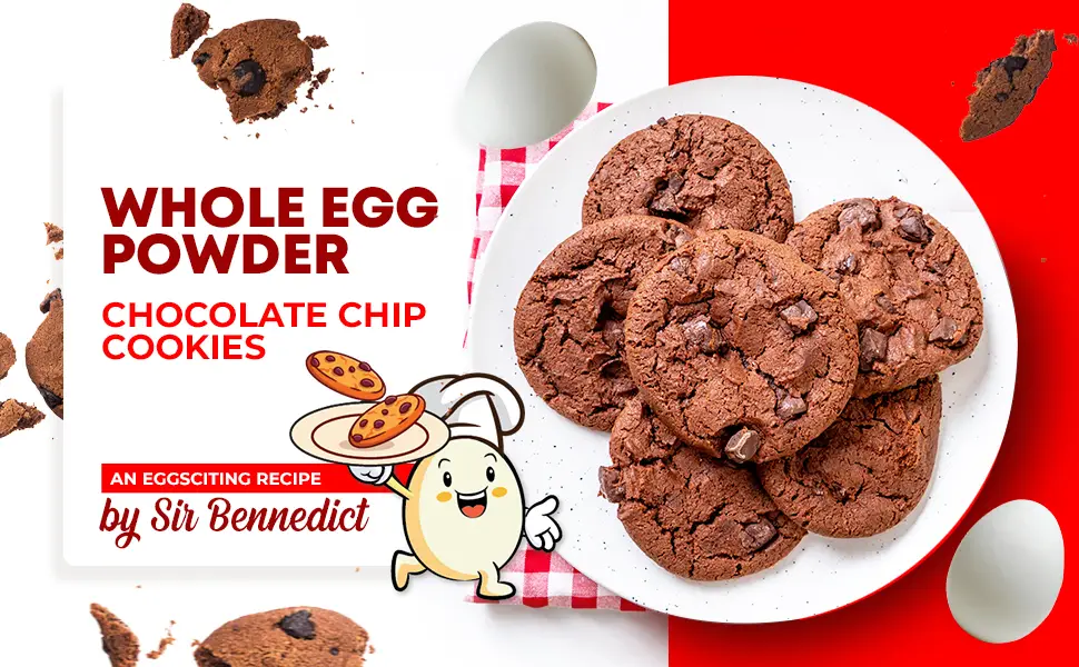 Eggylicious Whole Egg Powder, Dried Natural Protein Powder, Made from Fresh Eggs, White & Yolk mixed, Pasteurized, Non-GMO, No Additives, Used for Baking Icing,1lbs(16oz) - LLLLLL