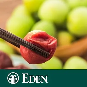 Eden Umeboshi Paste, Pickled Ume Plum Puree, Traditional from Japan, 7 oz - Eden Ume