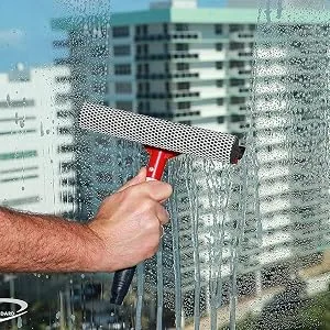 DSV Standard Professional All-Purpose Window Squeegee for Car Windshield, Shower Door, Boat | 2-in-1 Squeegee | Dual Side Blade Rubber & Scrubber Sponge | Aluminum Pole 20cm (8) - mamparas de vidrio para baño squigie