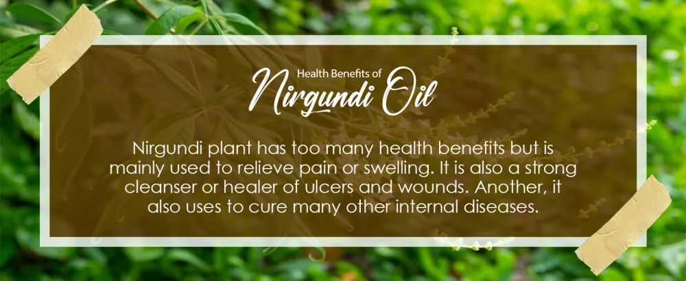 Planet Ayurveda Nirgundi Oil - 100 ml (3.38 fl oz) 2 bottles - Benefits