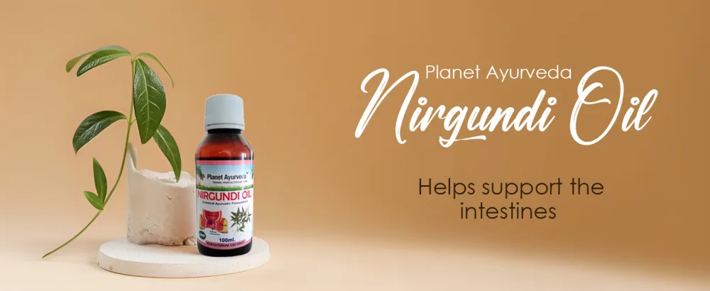 Planet Ayurveda Nirgundi Oil - 100 ml (3.38 fl oz) 2 bottles - Support intestine