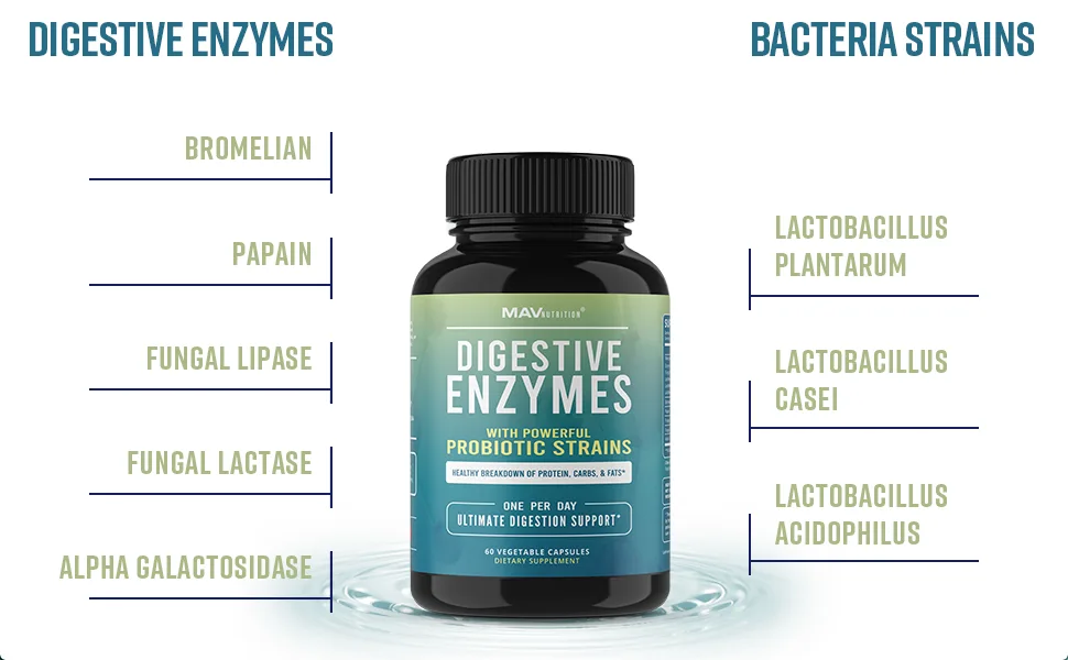 Digestive Enzymes & Probiotic Supplement | Enzymes for Digestion Aid, Bloating, IBS, Constipation and Gas Relief | 60 Premium Enzymes Blend Capsules - lactobacillus bromelain papain