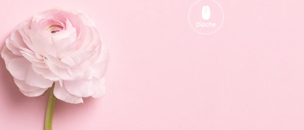 Magnetic Liquid No Irritation Quick-drying Long Lasting Not Faint Liquid for Magnet Eyelashes (Rose Gold) - Facial Steamer