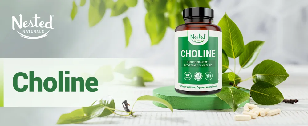 Nested Naturals Choline Bitartrate 500mg | High Potency Choline Supplements | Supports Cognitive Performance & Liver Function | 100% Vegan & Non-GMO Choline | 90 Vegan Capsules - choline nested naturals