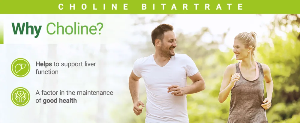 Nested Naturals Choline Bitartrate 500mg | High Potency Choline Supplements | Supports Cognitive Performance & Liver Function | 100% Vegan & Non-GMO Choline | 90 Vegan Capsules - choline nested naturals