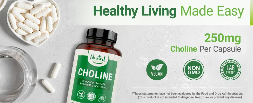 Nested Naturals Choline Bitartrate 500mg | High Potency Choline Supplements | Supports Cognitive Performance & Liver Function | 100% Vegan & Non-GMO Choline | 90 Vegan Capsules - choline nested naturals