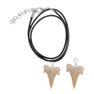 Toddmomy Wire Wrapped Fossilized Shark Teeth Necklace Shark Tooth Pendant Decoration Shark Teeth Charms Tooth Ornament - product information 1