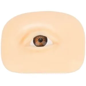 IWOWHERO Makeup Practice Skin Eyeline Practice Skin Eye Shadow Practice Skin Makeup Practice Tool 6.9x5.2cm As Shown 1 - product information 1