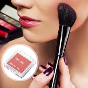 PLAFOPE Blush Blouses for Makeup Brishes Makeup Tool Lovely Makeup Face Makeup Supplies Powdery Pink - product information 1