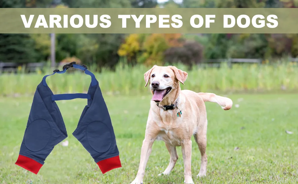Front Leg Dog Leg Joint Sleeve Elastic Breathable Highly Elastic Breathable Lick Proof Canine Elbow Protector (L) - B0BQYZVS81