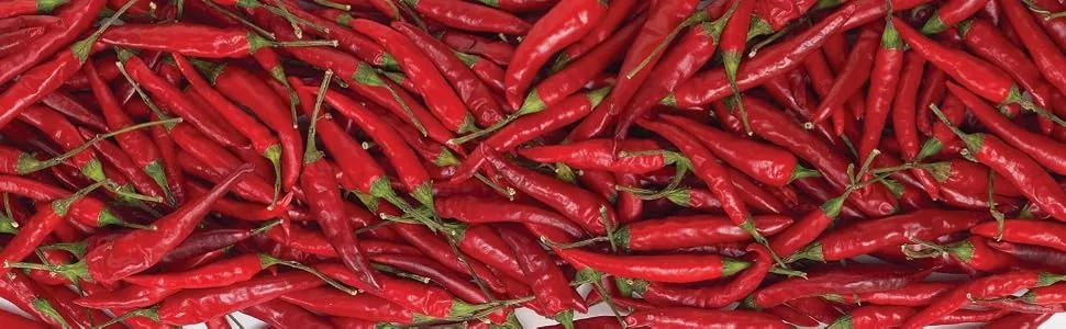 Desert Pepper Tequila Salsa, Medium Burn, 16-Ounce (1 Pack) 1.75 Pound - chiles