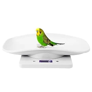 Electronic Scale Mini Pet Scale Electronic Scale LCD Display Pet Dog Weight Scale with Comfortable Curving Platform for Cats Dogs Small Pet 10kg/1g - baby scale