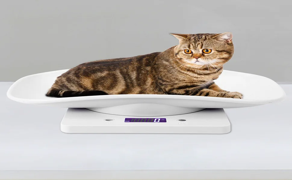 Electronic Scale Mini Pet Scale Electronic Scale LCD Display Pet Dog Weight Scale with Comfortable Curving Platform for Cats Dogs Small Pet 10kg/1g - counter dog scale
