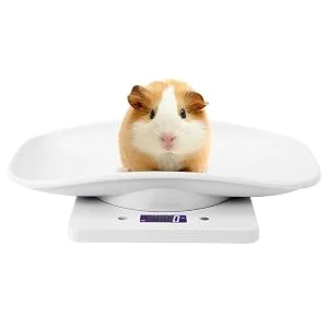 Electronic Scale Mini Pet Scale Electronic Scale LCD Display Pet Dog Weight Scale with Comfortable Curving Platform for Cats Dogs Small Pet 10kg/1g - pet scale kilograms lbs