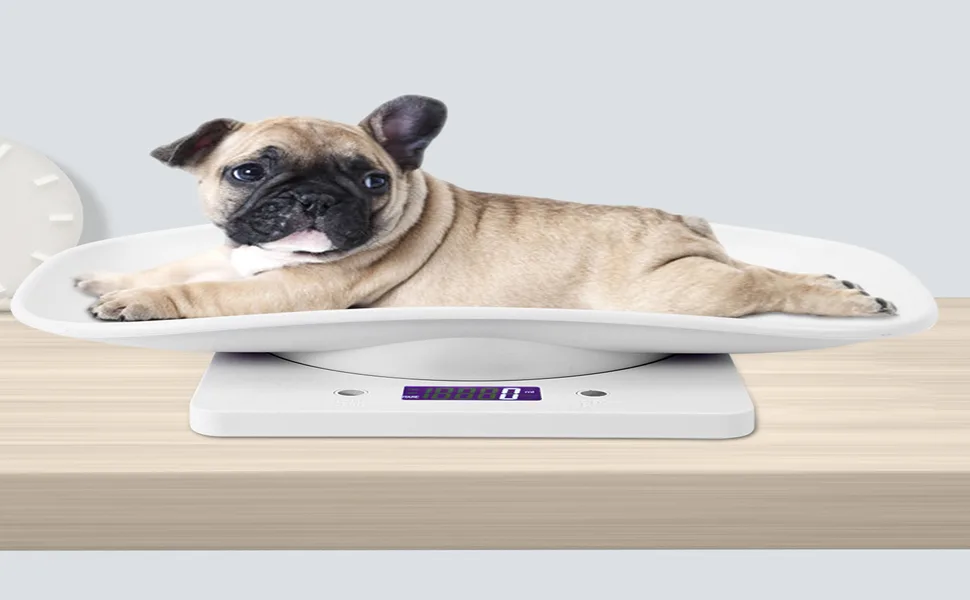 Electronic Scale Mini Pet Scale Electronic Scale LCD Display Pet Dog Weight Scale with Comfortable Curving Platform for Cats Dogs Small Pet 10kg/1g - pet scales for cats