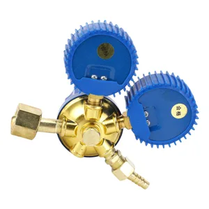Oxygen Regulator Intuitive and Easy to Use G5/8 Inlet Thread Shock Resistant Oxygen Bottle Pressure Regulator for Hospital - 1012240002211-3