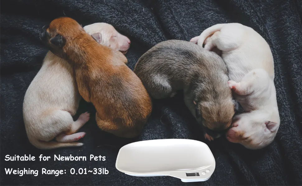 Digital Pet Scale Small Animal Weight Scale Portable Electronic Weighing Scale with LCD Display(Max. 33 lbs) Multifunction Kitchen Scale for Food/Puppy/Kitten/Lizard/Hamster/Tortoise/Whelping - newborn pets scale