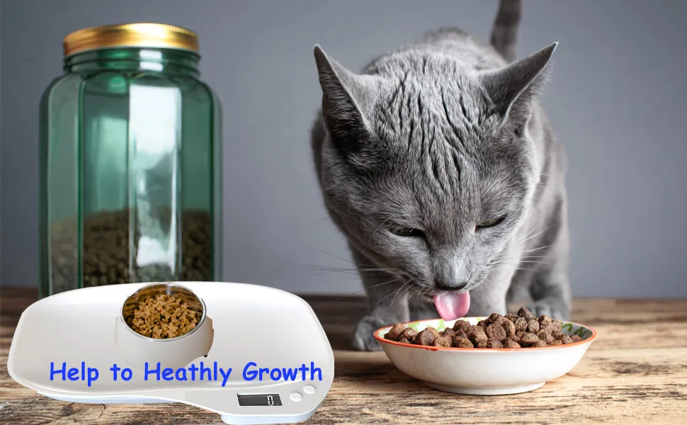Digital Pet Scale Small Animal Weight Scale Portable Electronic Weighing Scale with LCD Display(Max. 33 lbs) Multifunction Kitchen Scale for Food/Puppy/Kitten/Lizard/Hamster/Tortoise/Whelping - pets food scale