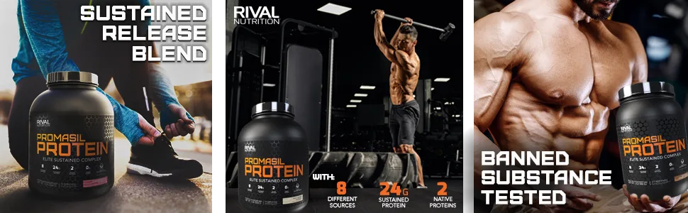 Rivalus Promasil Chocolate 5lb - Sustained Release Blend