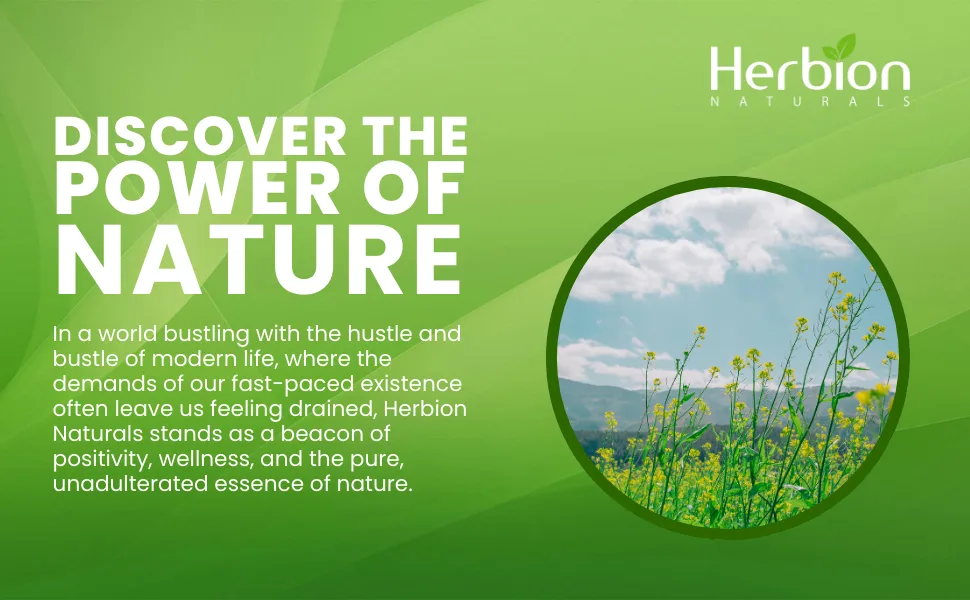 Herbion Naturals PMS Support help Reduce Premenstrual Symptoms Relieve Nervousness Stabilize Cycle - Herbal Formula - Menopause Symptom Relief Hormone Normalizer - 60 Veggie Caps - Herbion Naturals PMS Support Capsule Reduce Premenstrual symptoms nervousness stress relief herbal