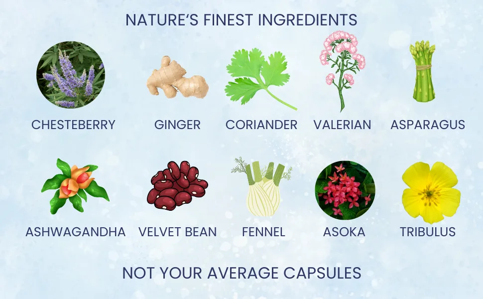 Herbion Naturals PMS Support help Reduce Premenstrual Symptoms Relieve Nervousness Stabilize Cycle - Herbal Formula - Menopause Symptom Relief Hormone Normalizer - 60 Veggie Caps - Herbion Naturals PMS Support Capsule Reduce Premenstrual symptoms nervousness stress relief herbal
