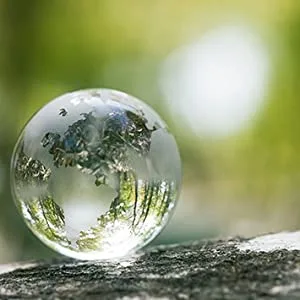 Pascoe - Rheuma-Pasc 50ml - Oral drops - Glass globe in forest