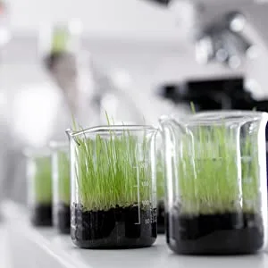 Pascoe - Rheuma-Pasc 50ml - Oral drops - Grass in Beaker