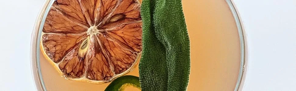 Dehydrated Grapefruit - 3 oz - 25+ slices - BlueHenry lemon wheel in cocktail glass coupe