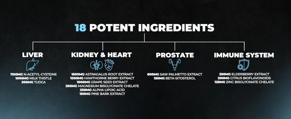 Defend Cycle Support - Most Stacked & Complete Organ Protection, Supports Liver, Kidneys, Heart, Prostate & Immune System On Cycle - Contains NAC, TUDCA, Milk Thistle, Astragalus & More (360 Capsules) - 18 potent ingredients included