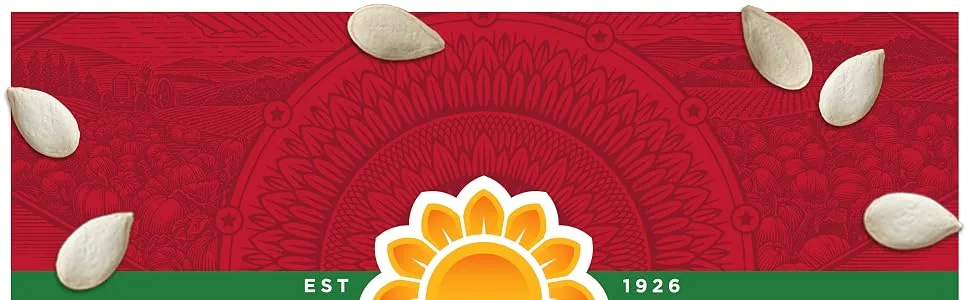 DAVID Roasted and Salted Pumpkin Seeds, 2.25 oz - DAVID pumpkin seeds