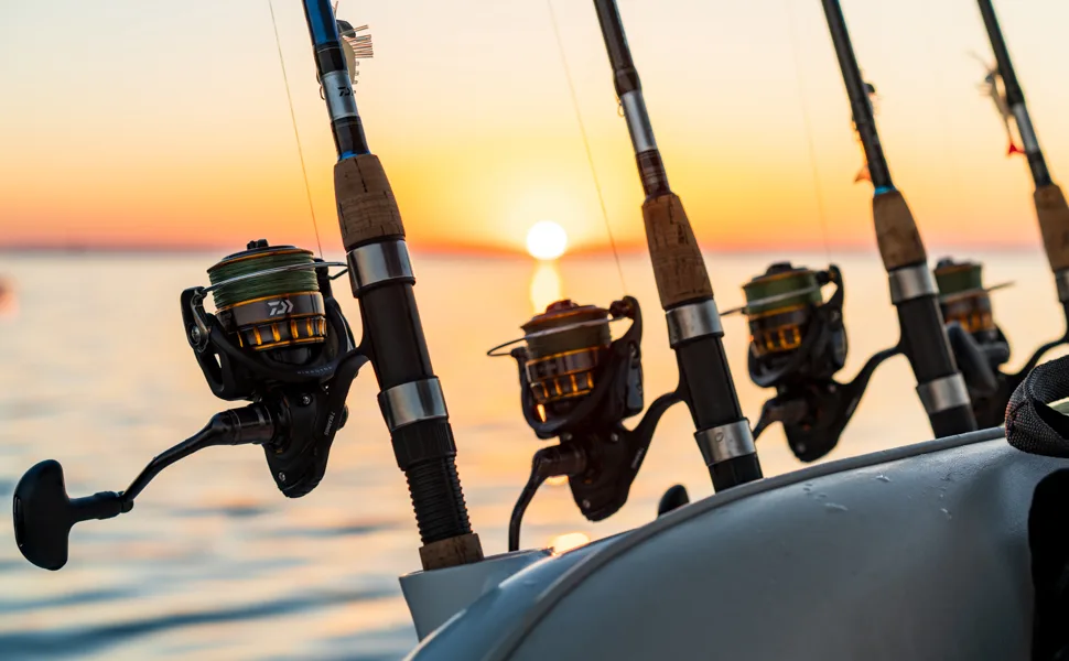 Daiwa Bg Spinning Reel 5000 - Daiwa BG Reels