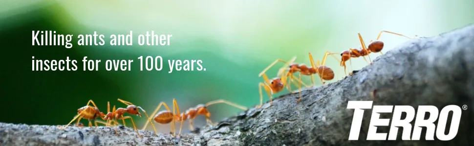 TERRO T610CAN Ant Killing Powder - terro, ant killer, ant kill powder, kill ants, insect control, diy insect control, pest control