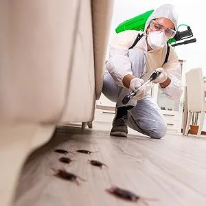 ECOPEST Total Insect Killer - Home page
