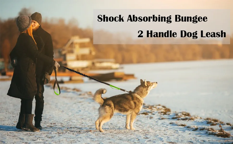 Dog Leash Bungee Double Handle Shock Absorbing Reflective Elastic Bungee Lead Soft Double Padded 2 Handles for Traffic Safety Control Training Perfect for Medium to Large Dogs Green - product information 18