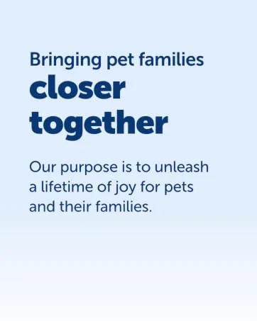 PetSafe Wireless Containment System Secure 2 023 Square metre Boundary for an Unlimited Number of Dogs Wireless Fence Kit - pet families close together
