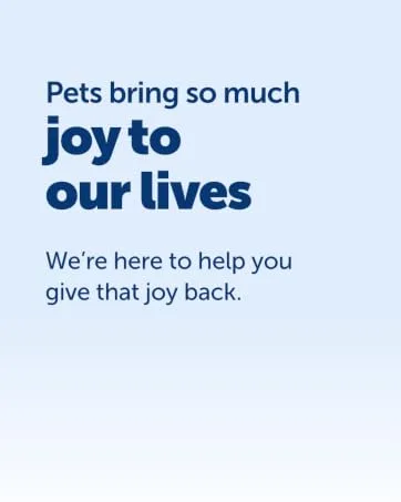 PetSafe Wireless Containment System Secure 2 023 Square metre Boundary for an Unlimited Number of Dogs Wireless Fence Kit - Pets bring so much joy to our lives