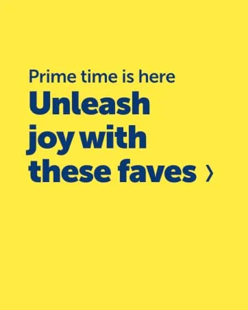 PetSafe Wireless Containment System Secure 2 023 Square metre Boundary for an Unlimited Number of Dogs Wireless Fence Kit - Unleash joy with these faves