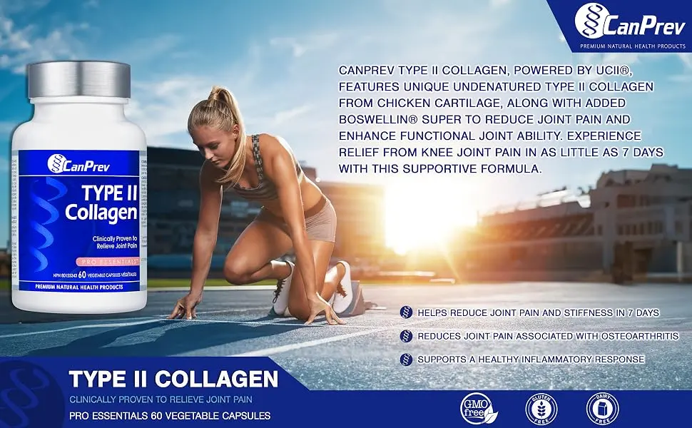 CanPrev - TYPE II Collagen Enhanced Formula for Joint Support 60 Capsules High Potency Collagen Peptides for Women & Men Non-GMO Supplements for Skin & Connective Tissue Nourishment - B0D1DM8TS3
