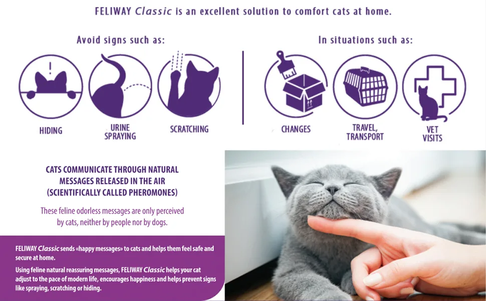 FELIWAY CLASSIC 30 Day Starter Kit - Comforts Cats at Home & Helps Control Unwanted Urine Spraying Cat Scratching and Hiding (incl. FELIWAY Cat Diffuser LMH19 & FELIWAY Refill C238) - Feliway Classic Cat Calming Spray Travel Vet Visits
