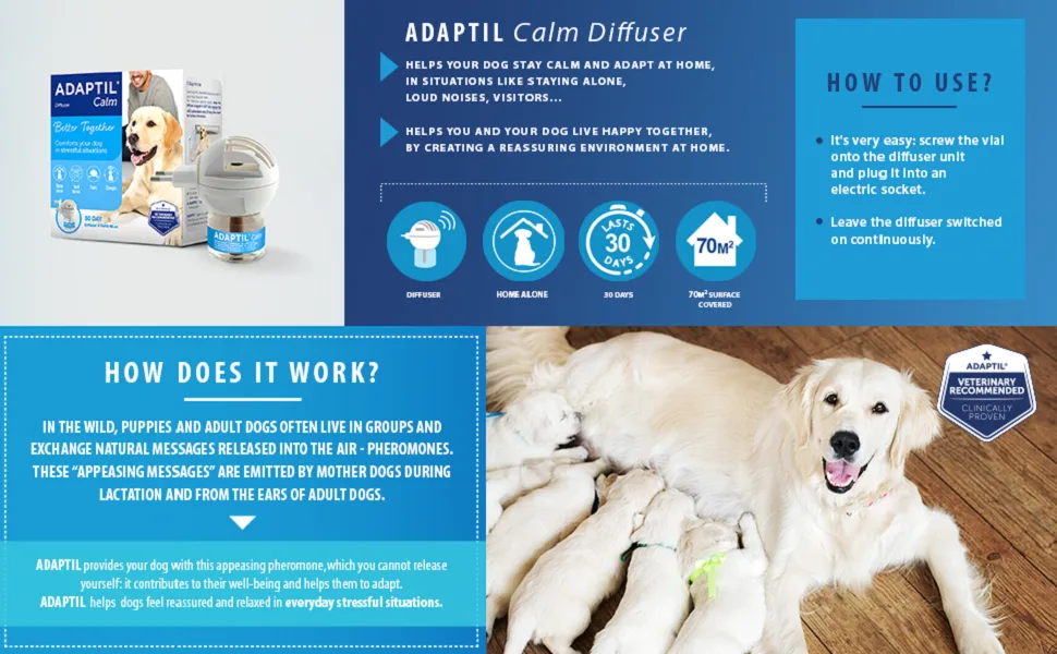 ADAPTIL Refill - Calms & Comforts Dogs at Home When Home Alone or During Loud Noises & Stressful Events - Use ADAPTIL for Dogs with ADAPTIL Diffusers (30 Day Supply ADAPTIL Refill C133) - Adaptil Calm Dog Calming Diffuser Dog Pheromone